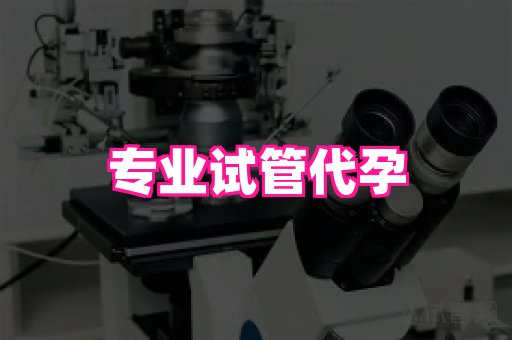 成都助孕网站 1