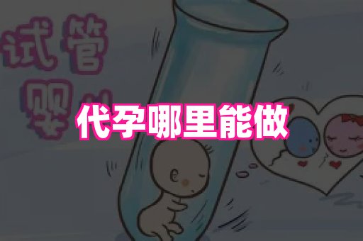 成都助孕网站 4